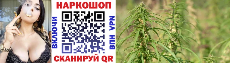 Сколько стоит Карабаново COCAIN Alpha-PVP Мефедрон ГАШИШ Бошки Шишки