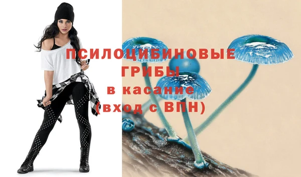 ALPHA PVP Верея