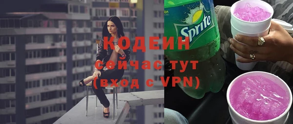 гидра Верхний Тагил