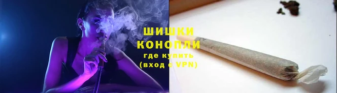 СК Покачи