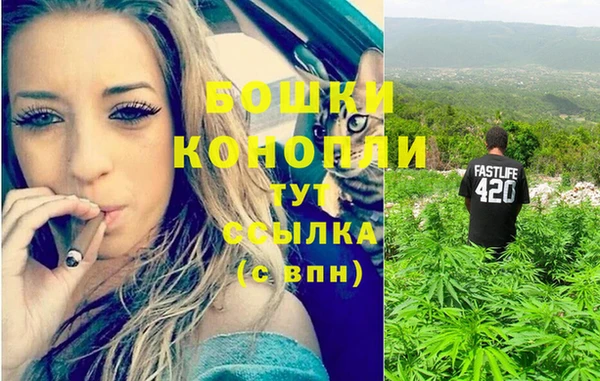 гидра Верхний Тагил