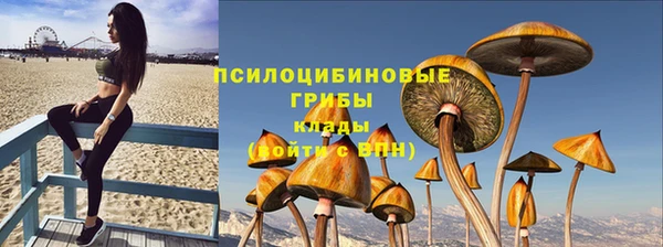 гидра Пестово