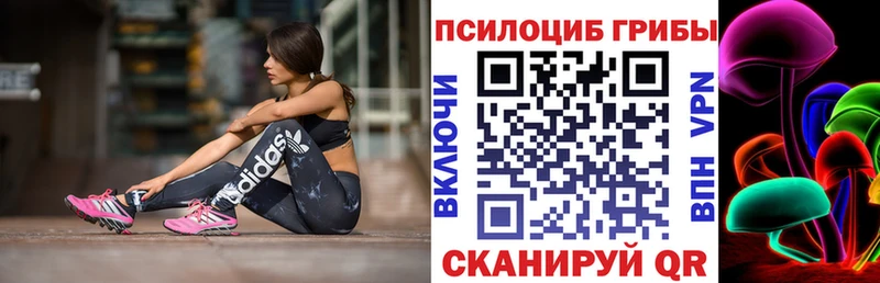 мориарти клад  купить   Карабаново  Галлюциногенные грибы мицелий 